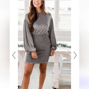 Pink Lily balloon sleeve sparkly silver dress